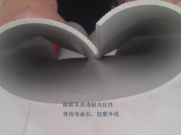 pvc防水卷材(P類)耐根穿刺.jpg